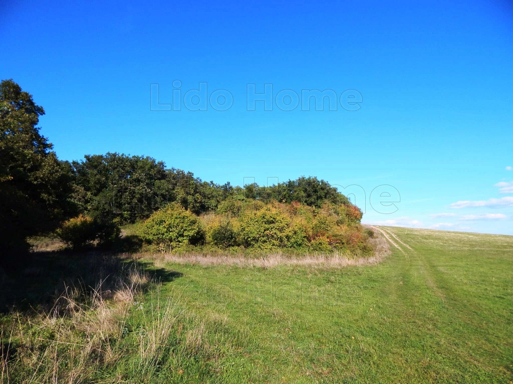 A nyugalom szigete: természetközeli telek eladó Balatonszőlős külterületén!