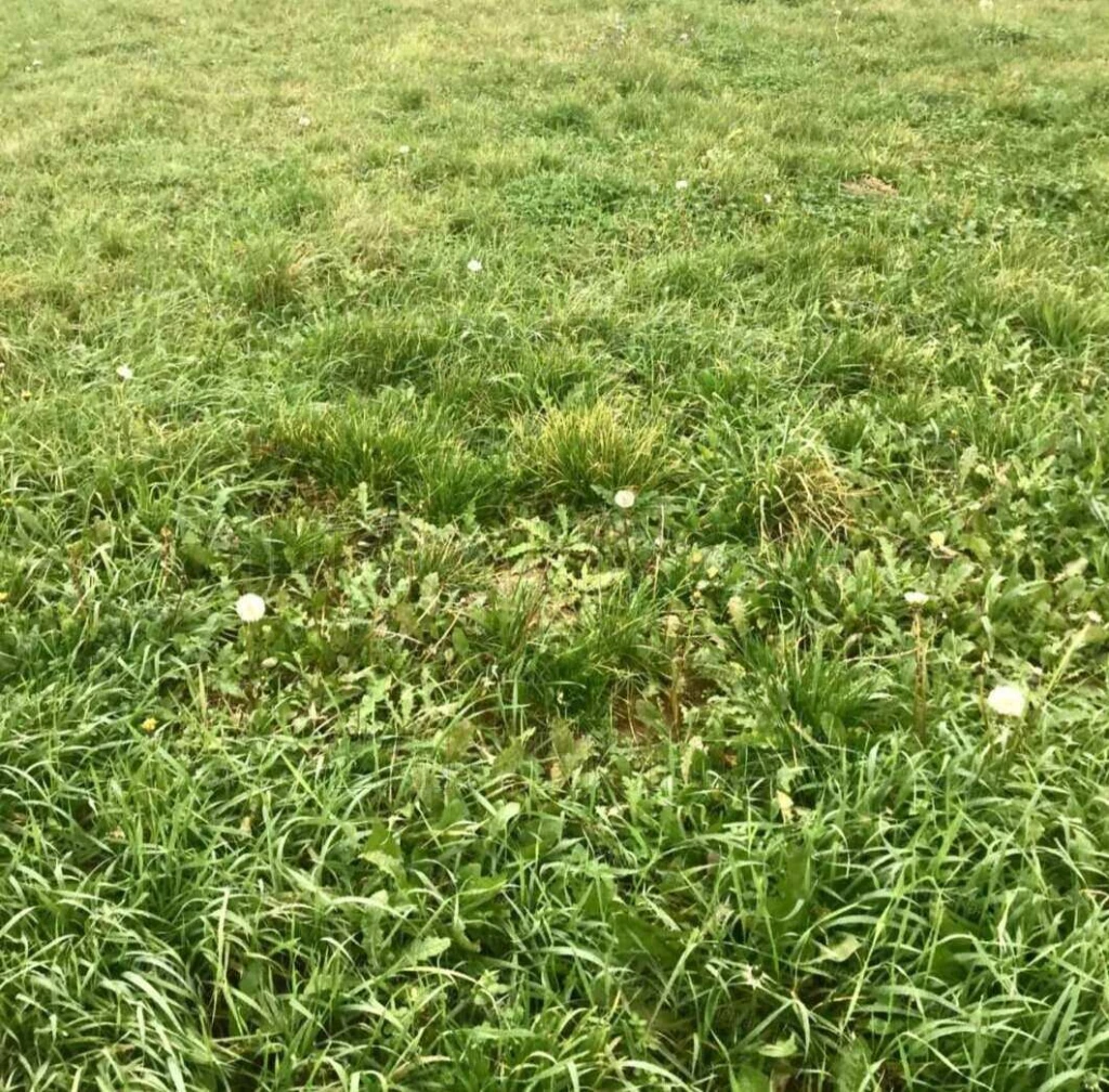 ELADÓ BELTERÜLETI ÉPÍTÉSI TELEK MÁRKÓ KÖZPONTJÁBAN!