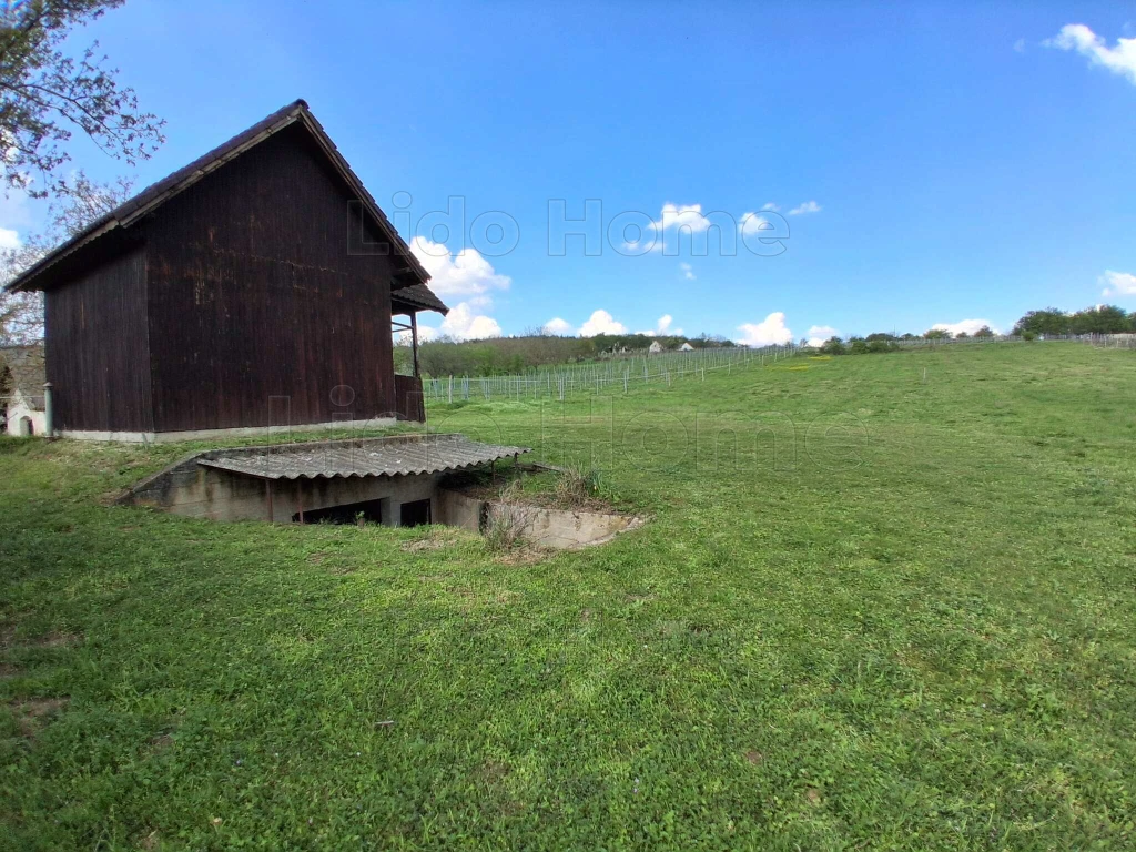 Balatoni panorámás pince és faház eladó Örvényesen