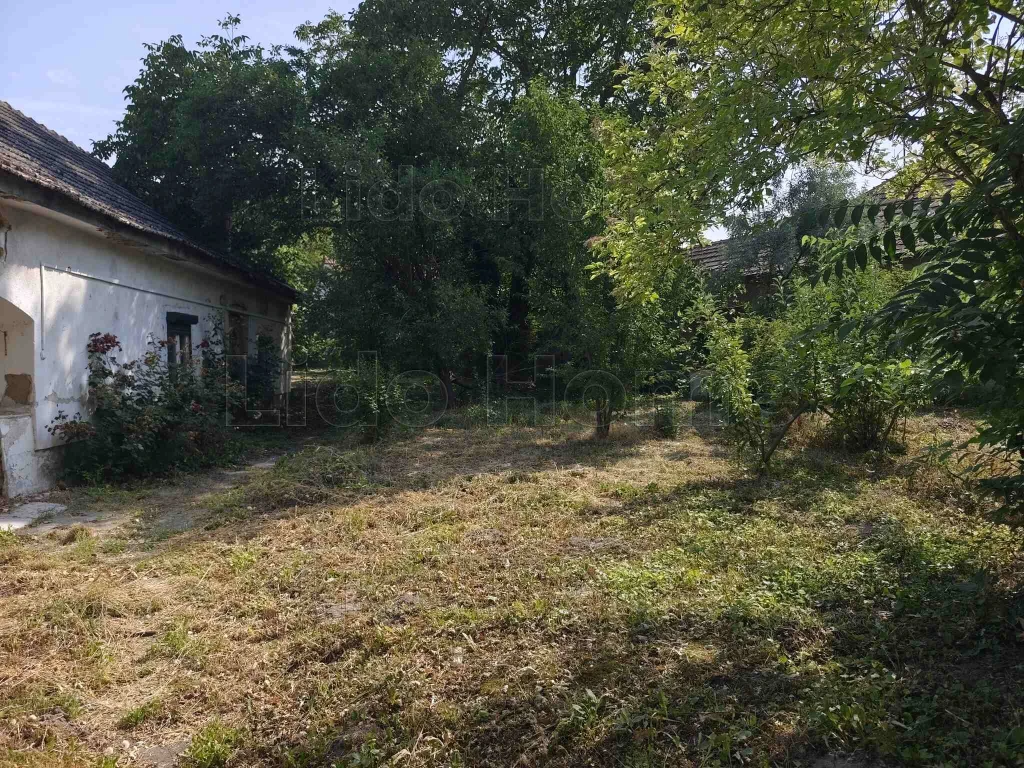 Közművesített belterületi építési telek Balatonkenesén!