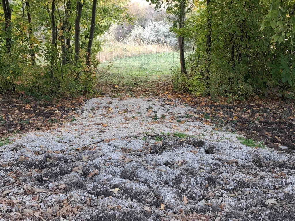 Balatonfűzfőn, csendes, mégis központi elhelyezkedésű telek eladó!