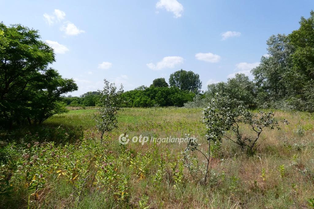 For sale building plot, Tápióbicske, Tápióbicske