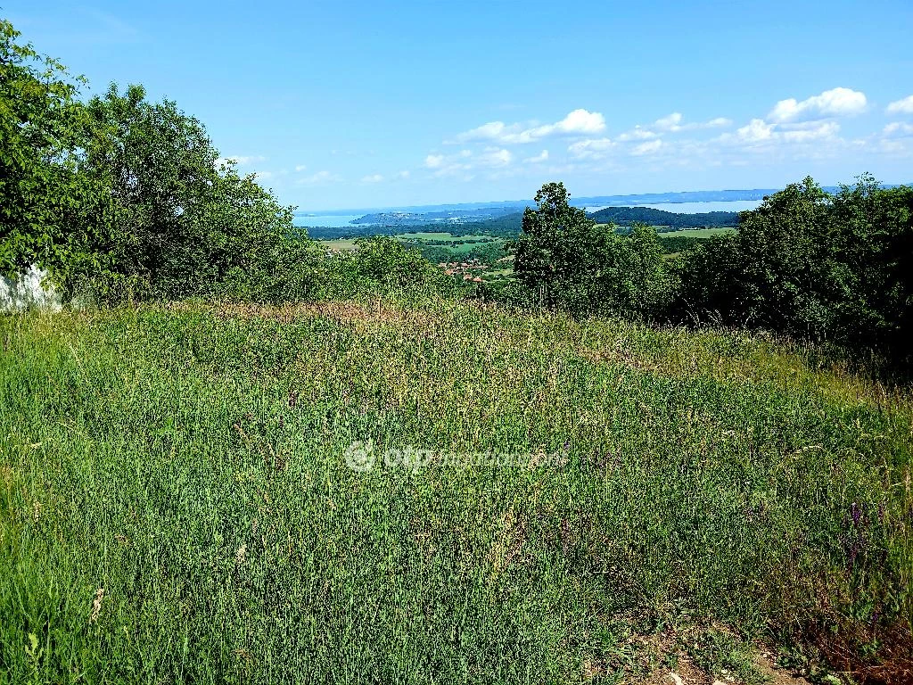 For sale building plot, Pécsely, Öreg hegy