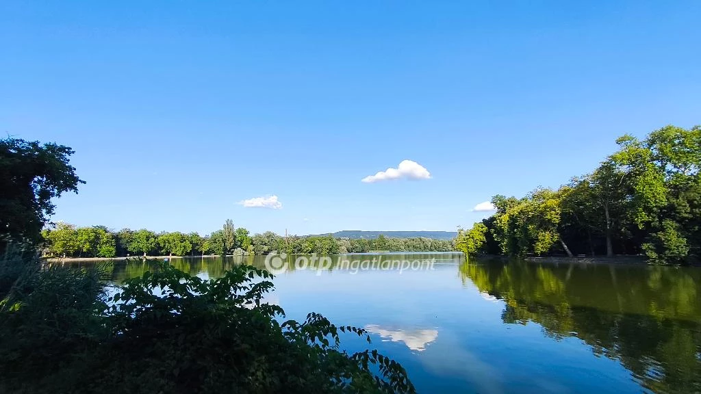 Eladó családi ház, Tata, Angol park