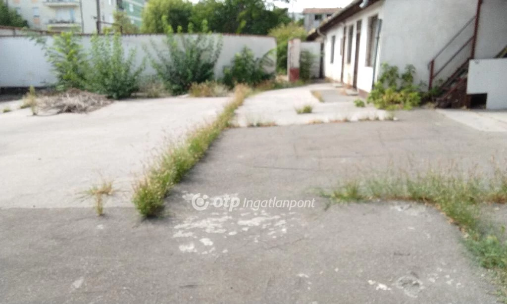 c3-1-name c2-50-name, Budapest X. kerület, Kocsis Sándor