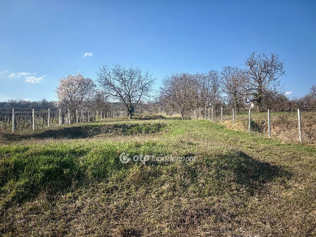 c3-1-name c2-50-name, Tök, Kissor