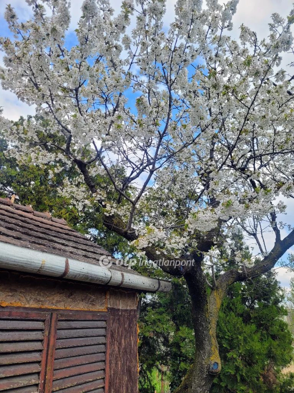 c3-1-name c2-50-name, Budapest XXII. kerület, Diósd széle