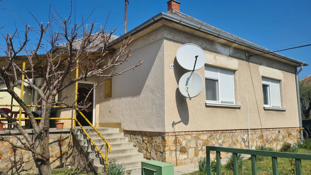 c3-1-name c2-1-name, Székesfehérvár