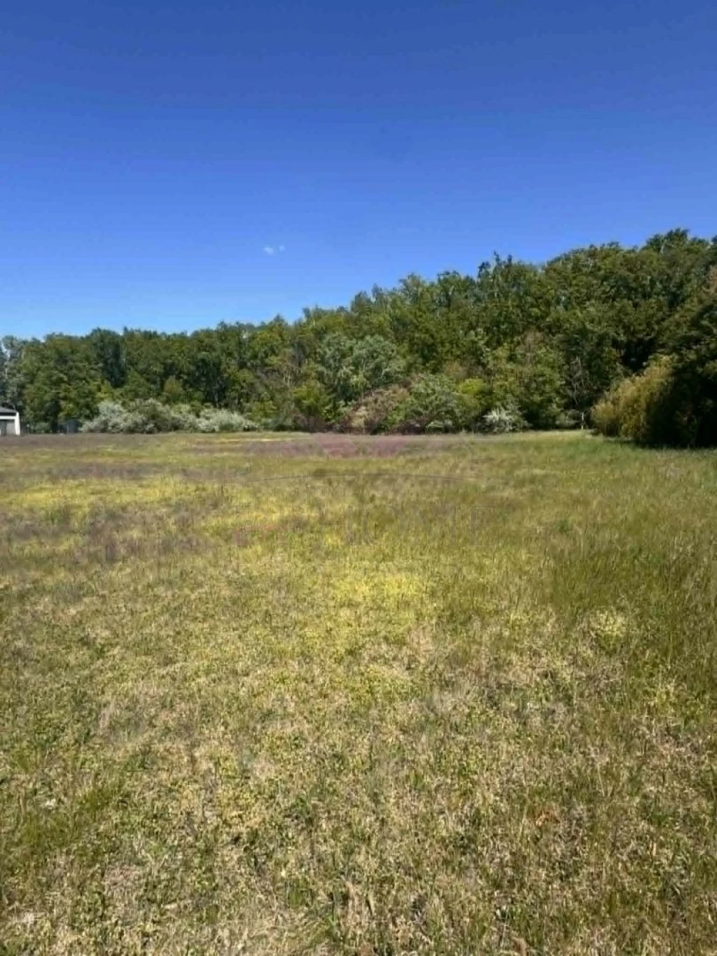 Hajdúszoboszlón 3000 m2-es építési telek ELADÓ!