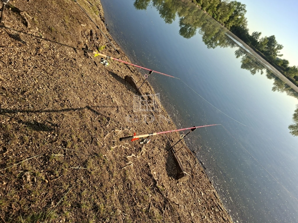 Eladó külterületi telek, Tiszakécske, Tiszabög, Fő út