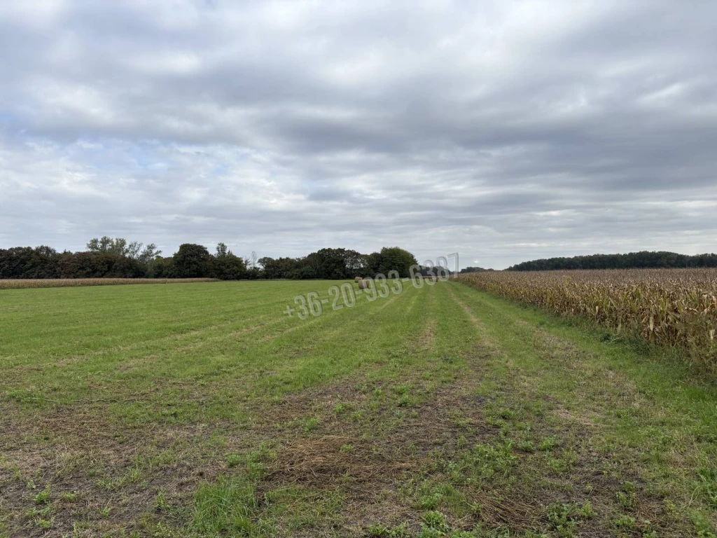 For sale building plot, Abda, Nincs megadva