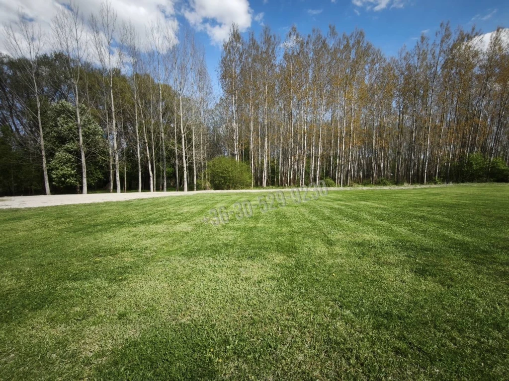 Eladó Építési telek, Dunasziget,  Nincs megadva, 905nm, 19900000 Ft