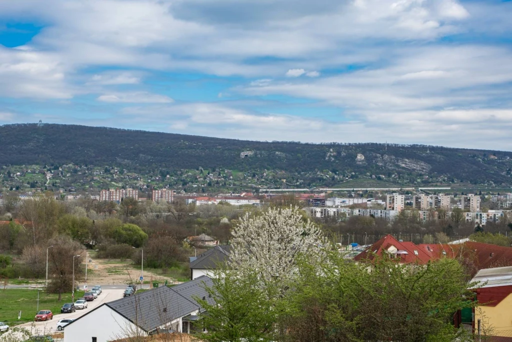 Eladó Családi ház, Tatabánya, Panoráma lakópark, 114nm, 137000000 Ft