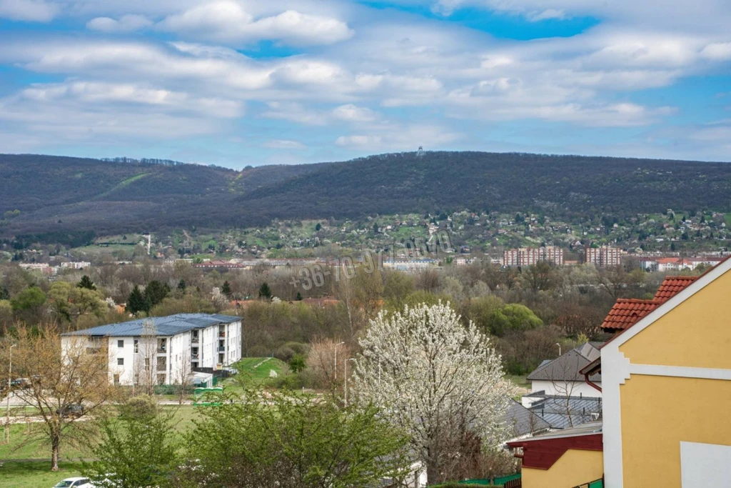 c3-1-name c2-1-name, Tatabánya, Panoráma lakópark