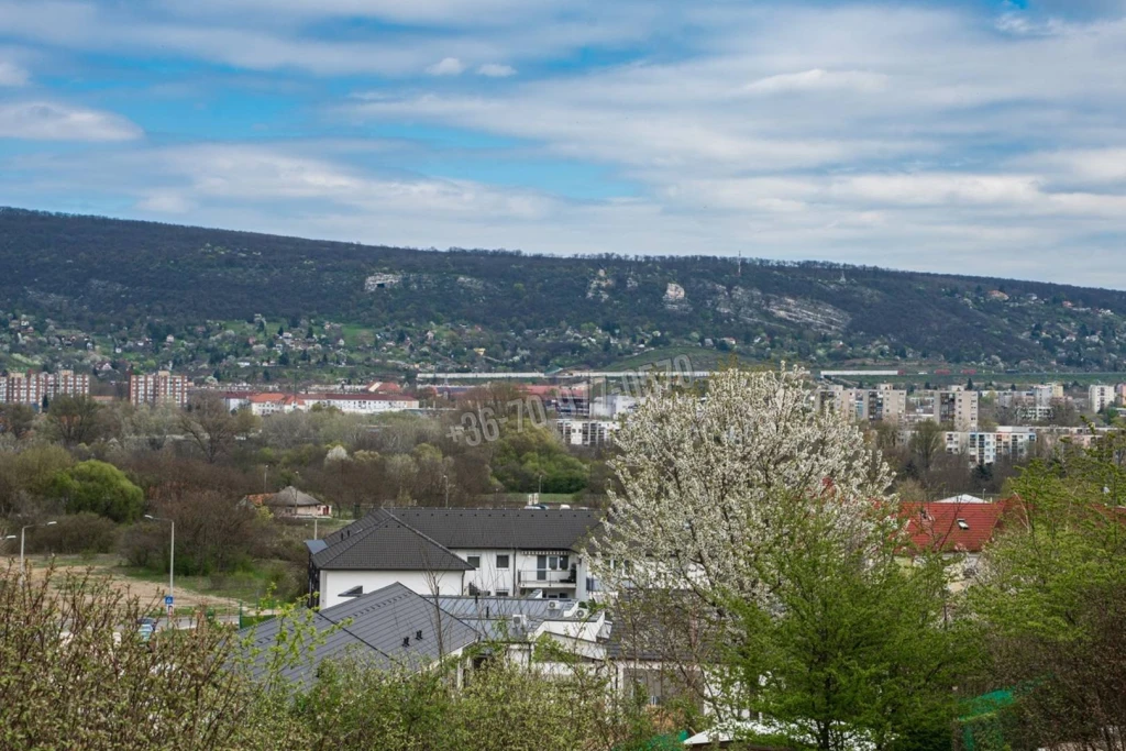 c3-1-name c2-1-name, Tatabánya, Panoráma lakópark