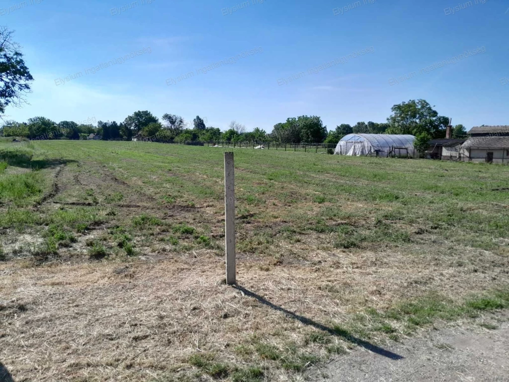 For sale building plot, Abony