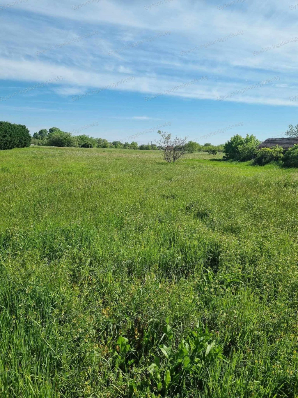 For sale building plot, Cegléd