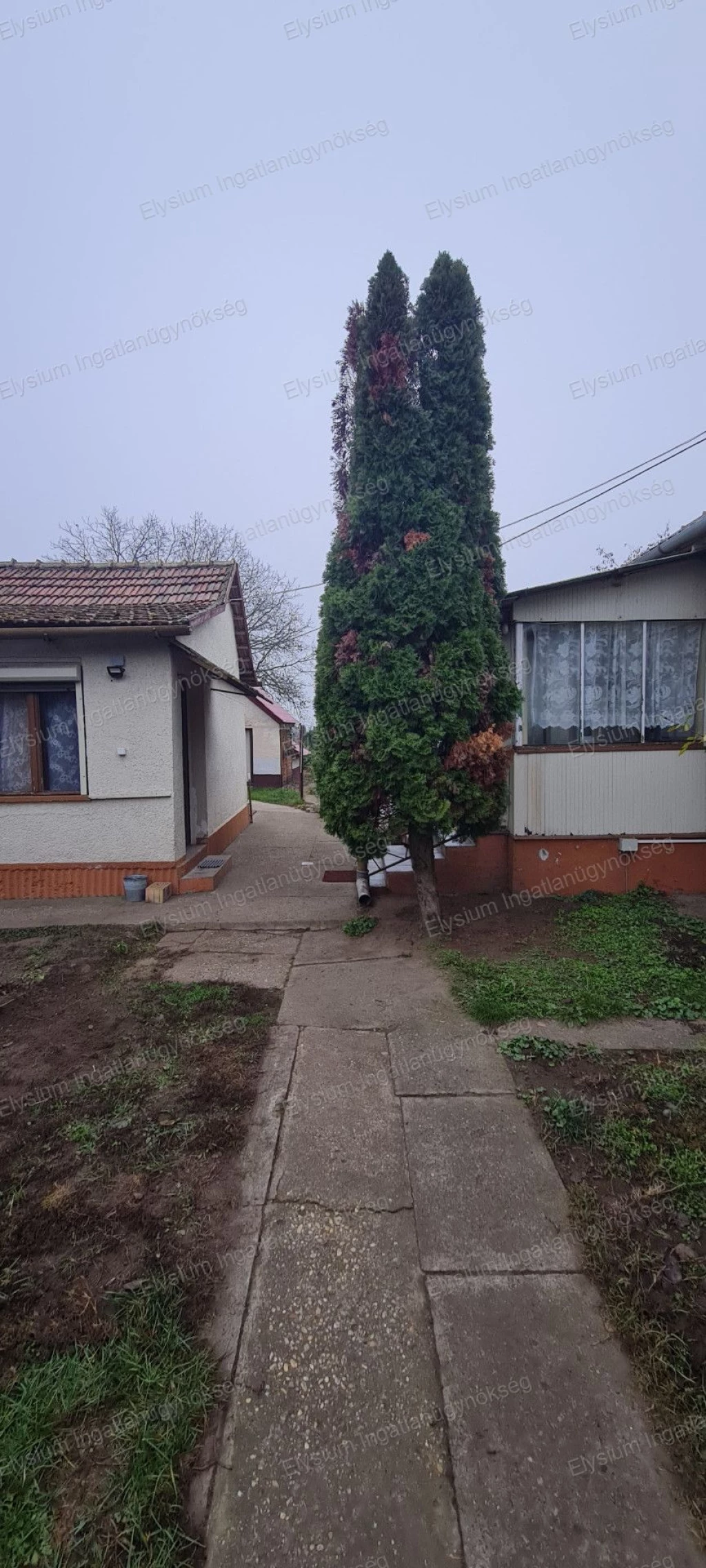 For sale house, Tápiószőlős