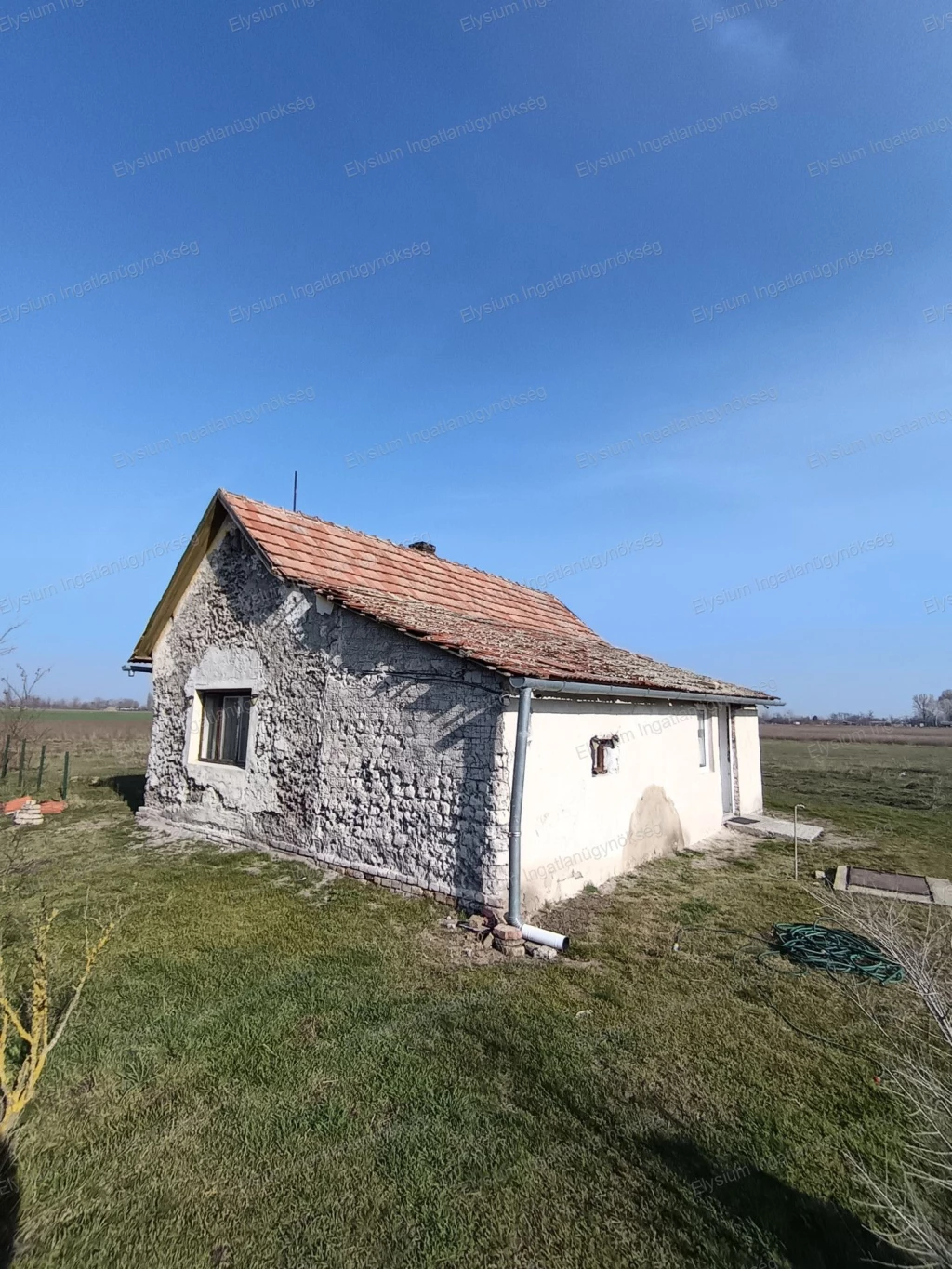 Cegléden, kedvelt dűlőben tanya eladó – kiváló lehetőség gazdálkodásra vagy vidéki életre!