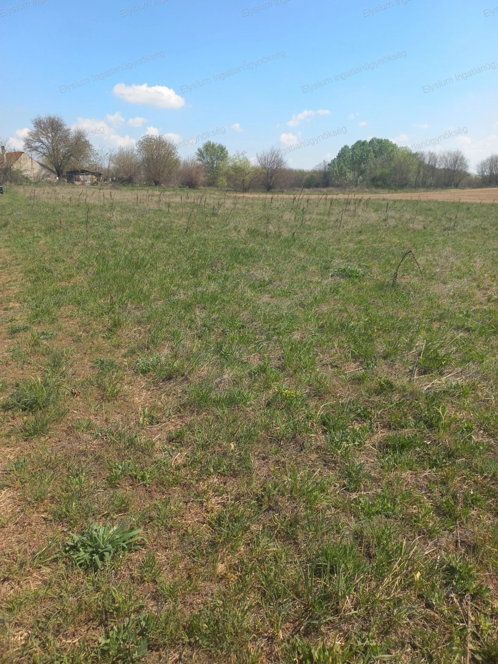 Építési telkek Cegléden – kivételes lehetőség a fürdő közelében