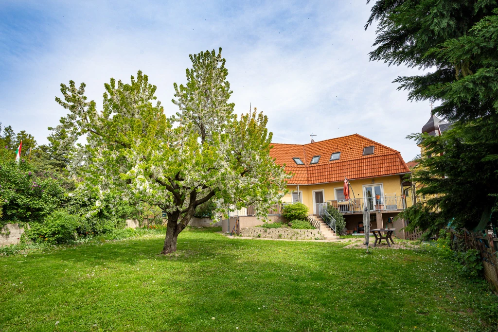 For sale house, Pilisborosjenő