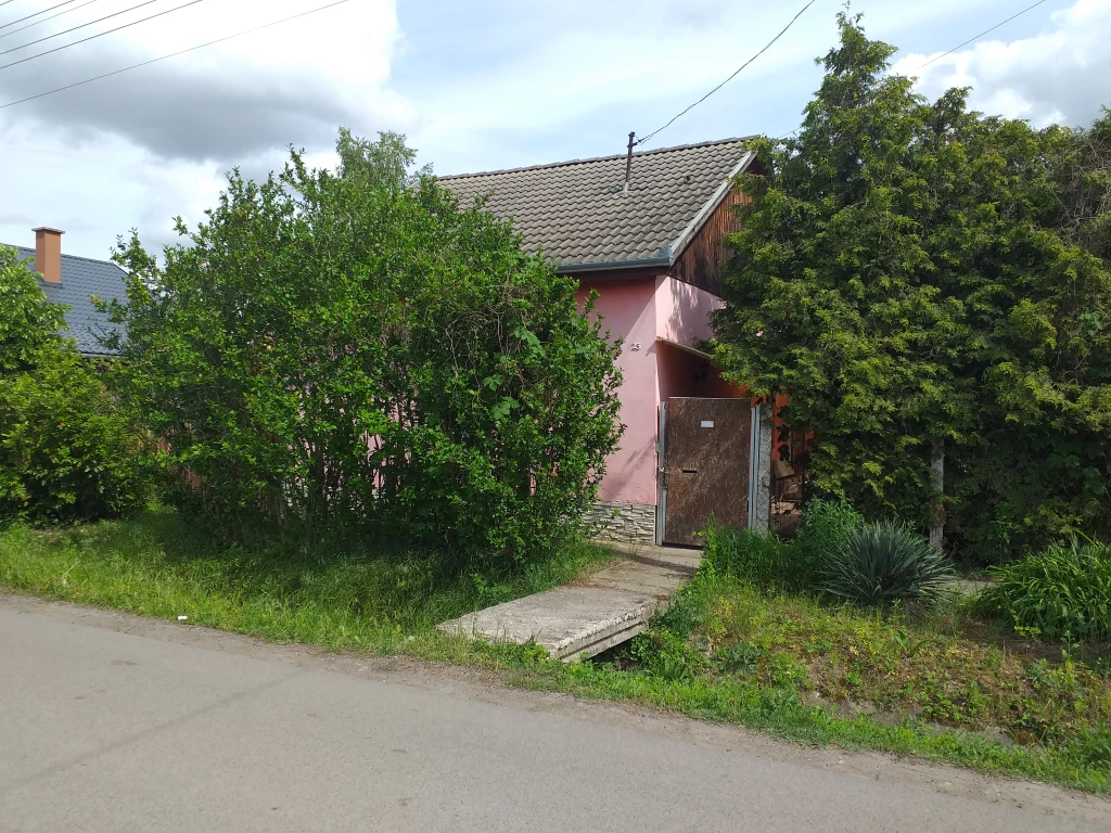 For sale house, Monor