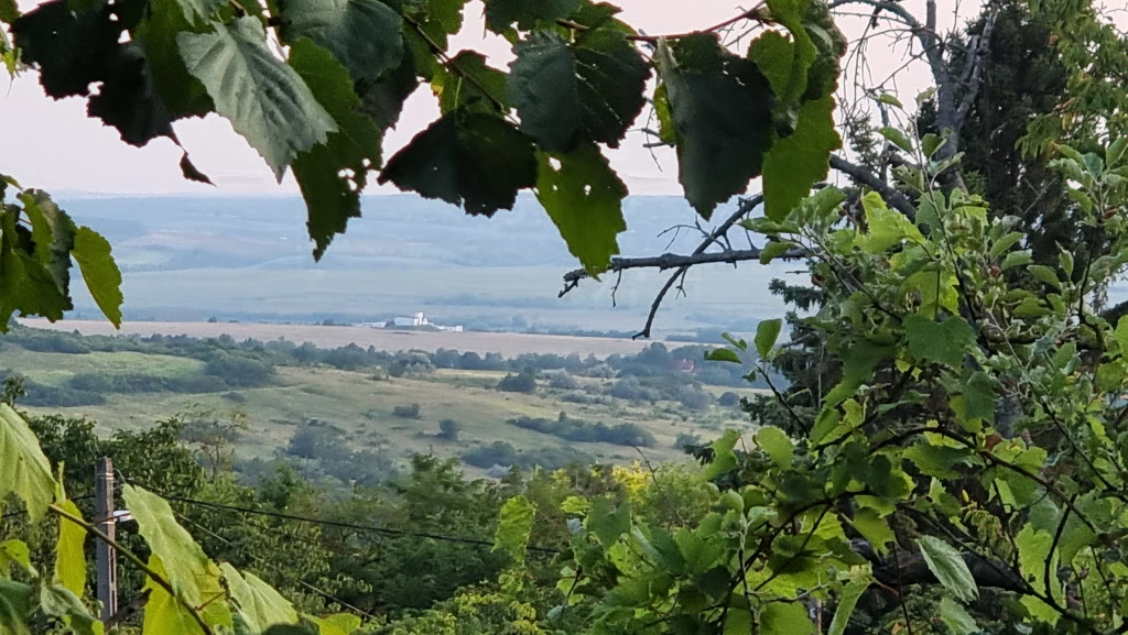 Eladó telek, Páty