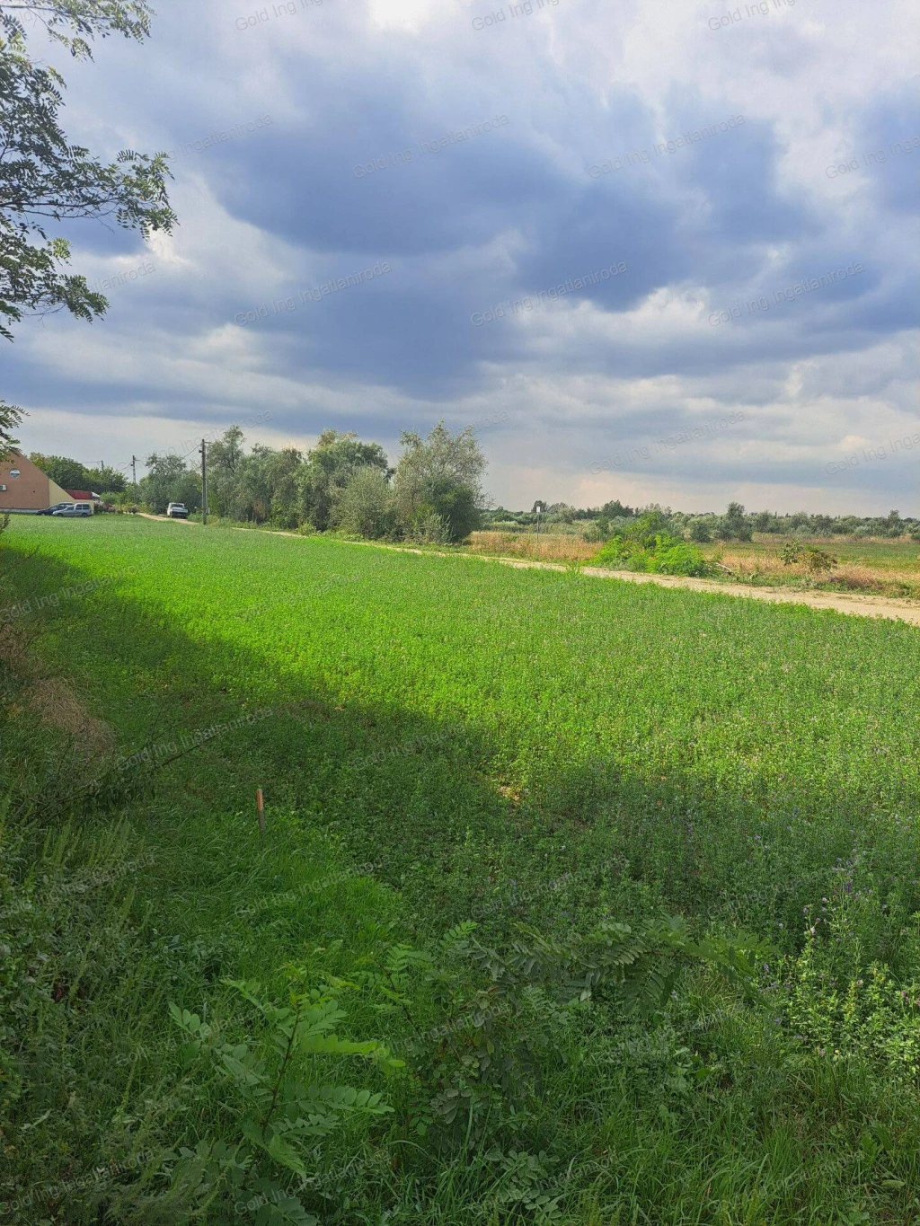 Eladó egyéb telek, Békéscsaba