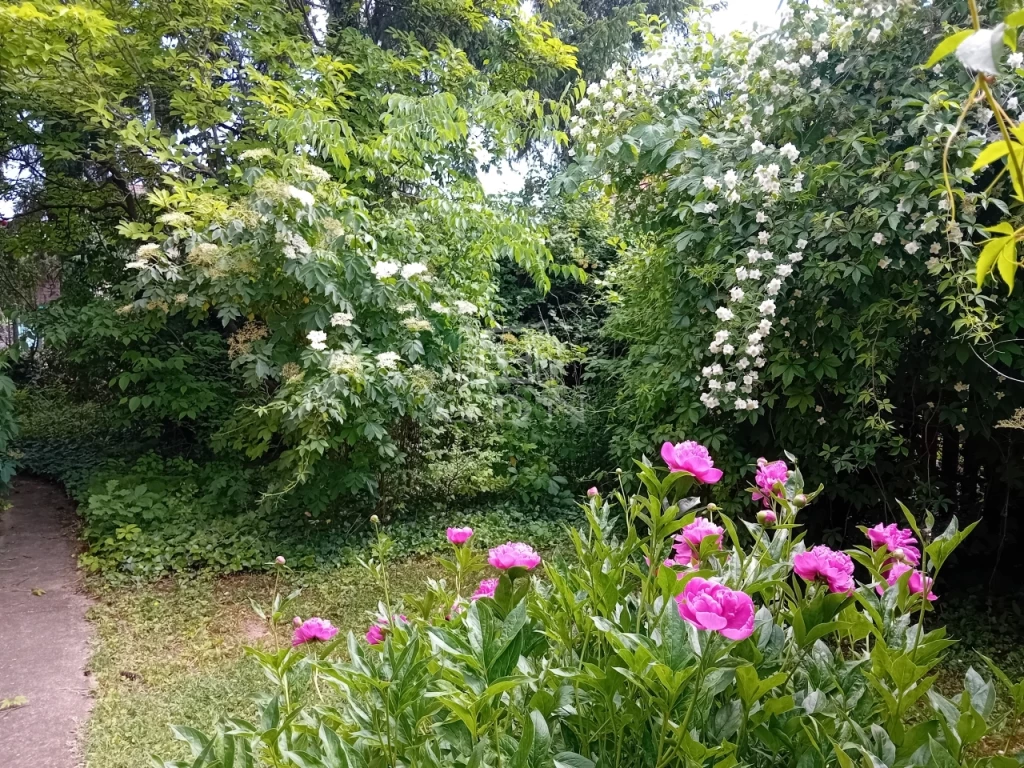 Eladó családi ház, Gödöllő, Haraszt, Központhoz közel