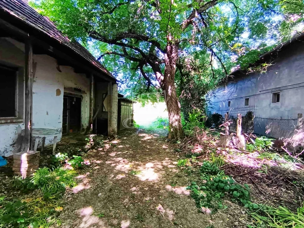 c3-1-name c2-1-name, Ecser, Petőfi utca