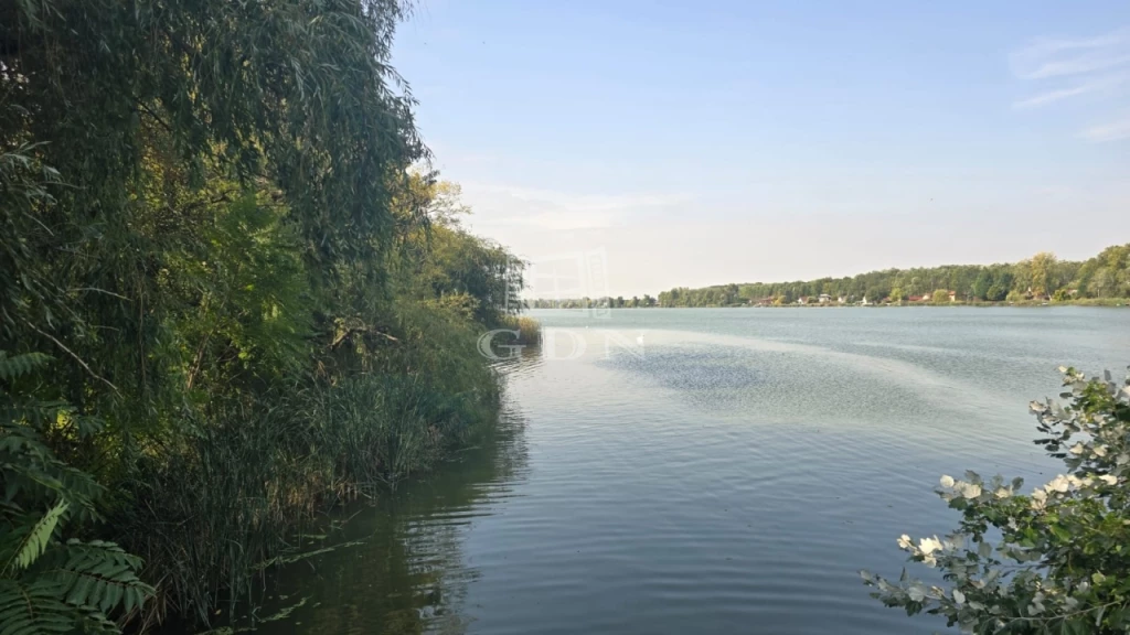 Eladó üdülő, nyaraló, Dömsöd, Alsó Duna-part