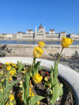 Eladó téglalakás, Budapest I. kerület, Víziváros I. ker., Hattyú utca