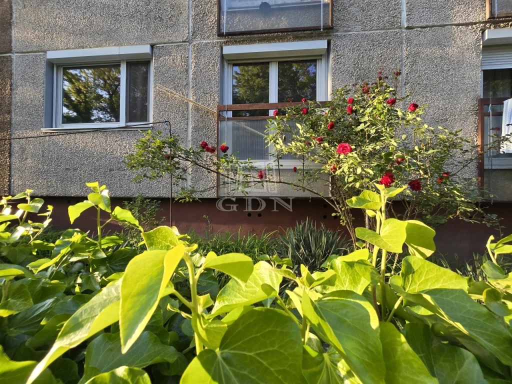 Eladó panellakás, Budapest XVII. kerület, Rákoskeresztúr, 3 szobás lakás Rákoskeresztúron