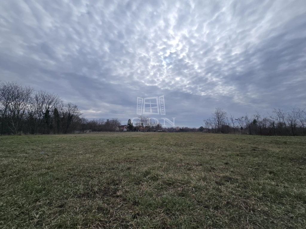 For sale building plot, Budapest XVII. kerület, Rákosliget - Szőlőliget ökopark, Szőlőliget Ökopark mellett 6800 nm