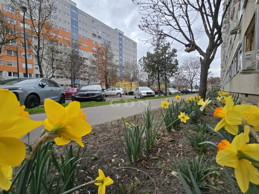 For sale panel flat, Budapest XIV. kerület, Füredi lakótelepen eladó 3+1 szobás
