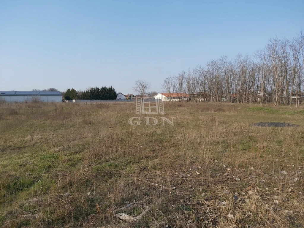 c3-1-name c2-50-name, Gyál, Erdősor utca