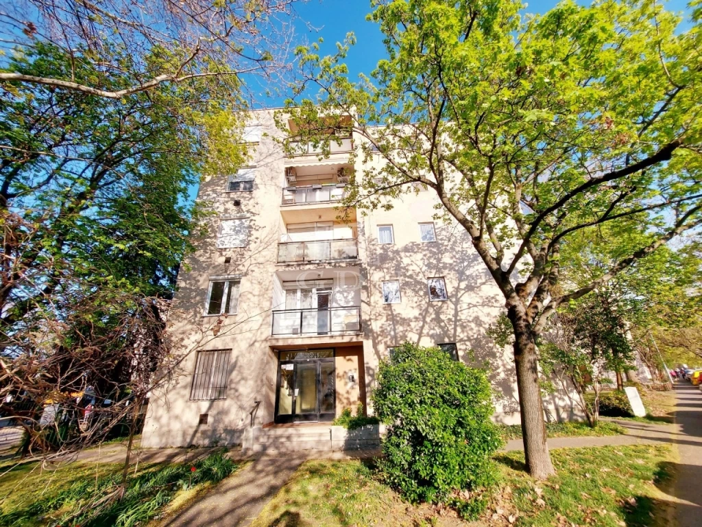 c3-1-name c2-19-name, Budapest XX. kerület, Gubacsipuszta, Felújított 2 külön nyíló szobás!