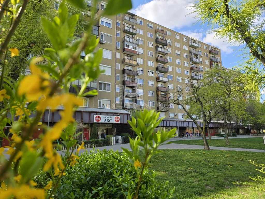 c3-1-name c2-20-name, Budapest IV. kerület, Újpest, Azonnal költözhető 3 szobás lakás