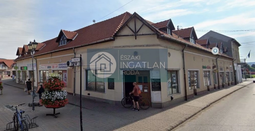 Eladó Üzlethelyiség, Putnok Kossuth Lajos 46.000.000 Ft