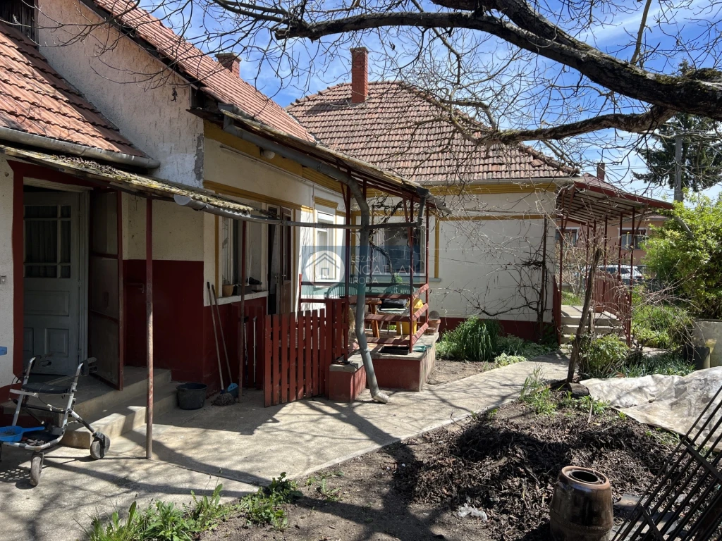 c3-1-name c2-1-name, Szendrő