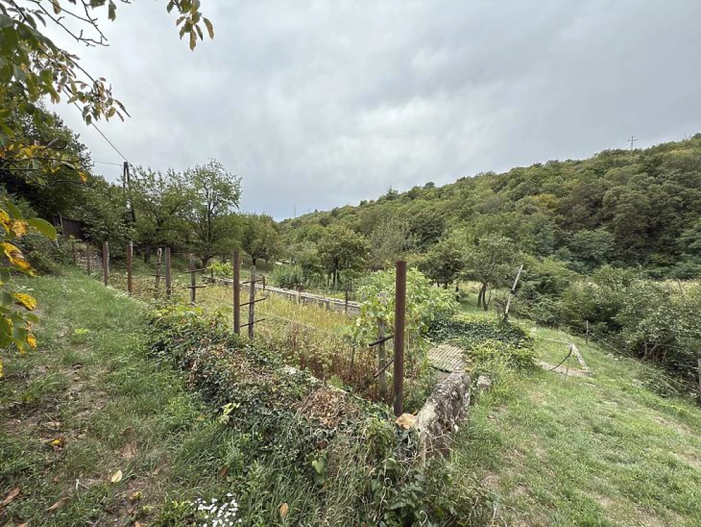 Eladó üdülőtelek, Szentendre