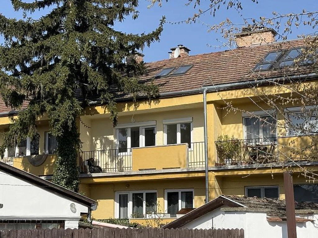 c3-1-name c2-19-name, Szentendre