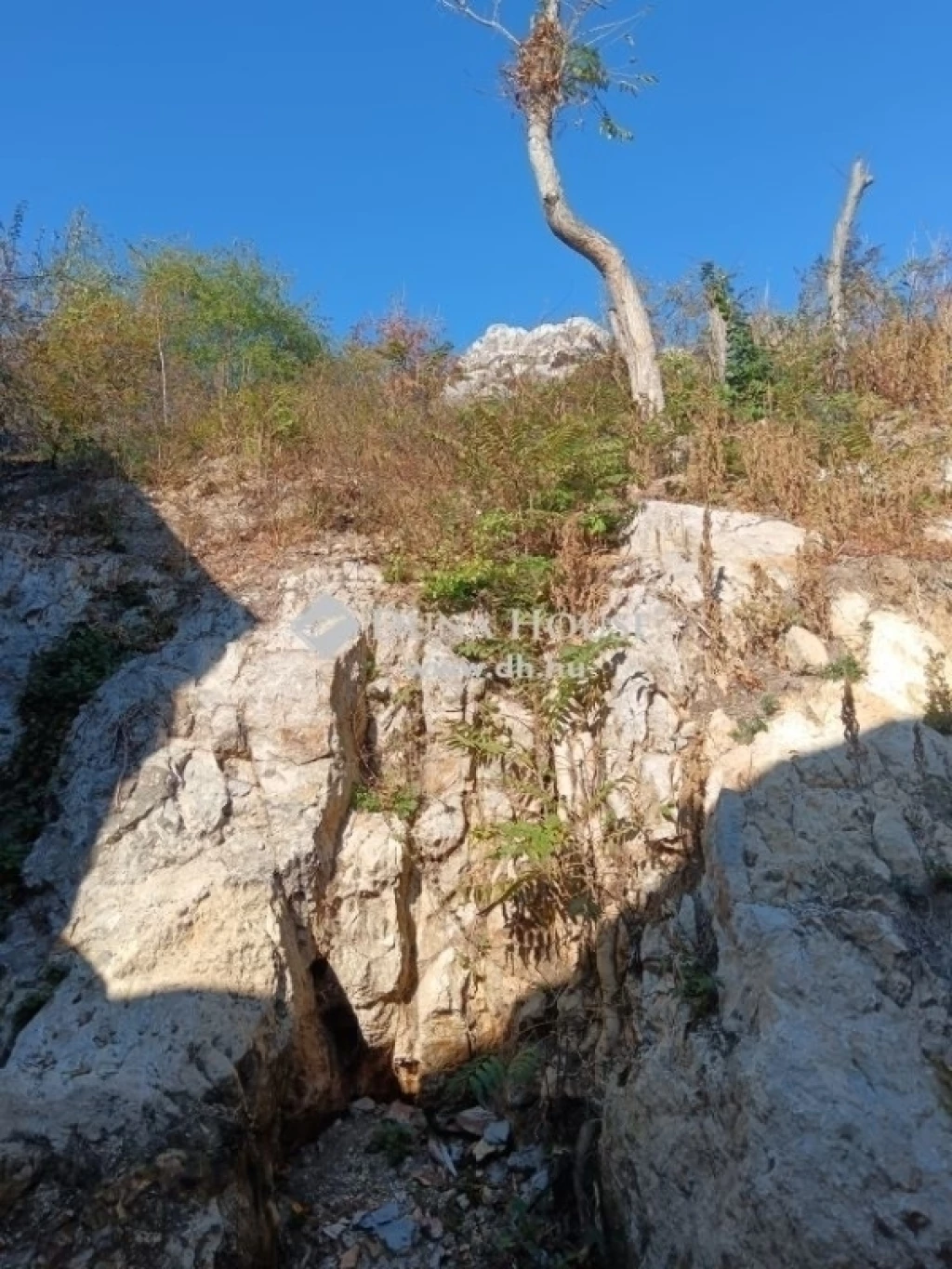 Eladó ház, Budaörs