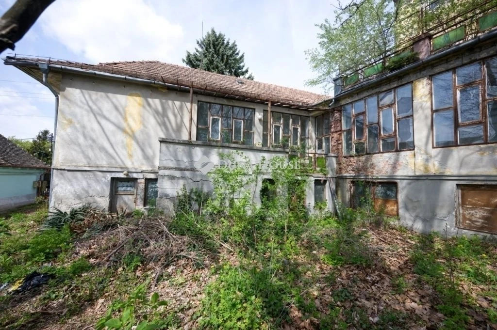 c3-1-name c2-50-name, Budakeszi