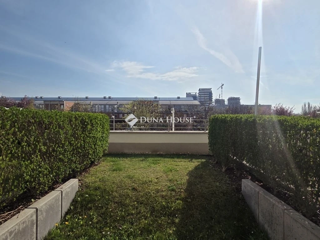 c3-1-name c2-19-name, Budapest XI. kerület, Alíz utca