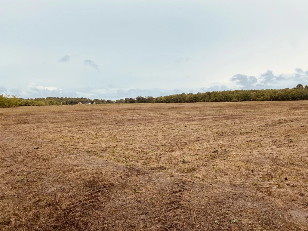 For sale plough-land, pasture, Felsőlajos