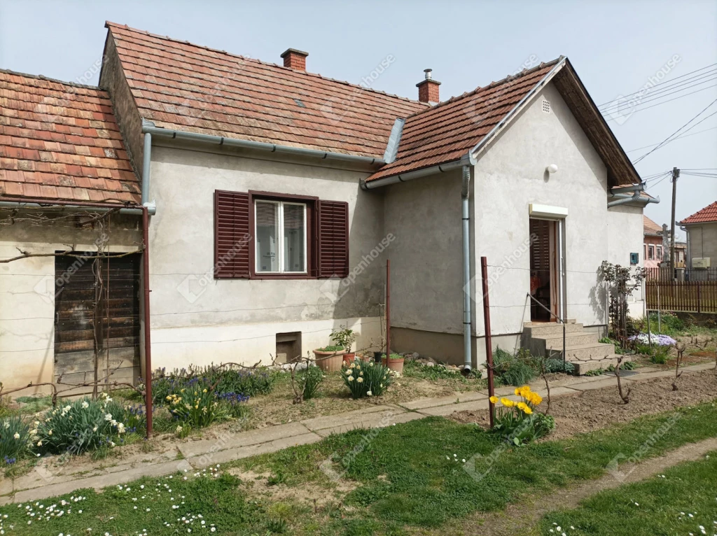 Nyugodt otthon nagy kerttel és kiegészítő épületekkel – Nagyatád kedvelt részén