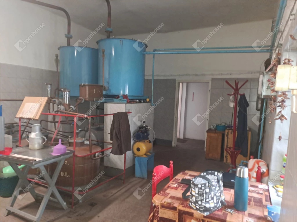 c3-1-name c2-65-name, Istvándi