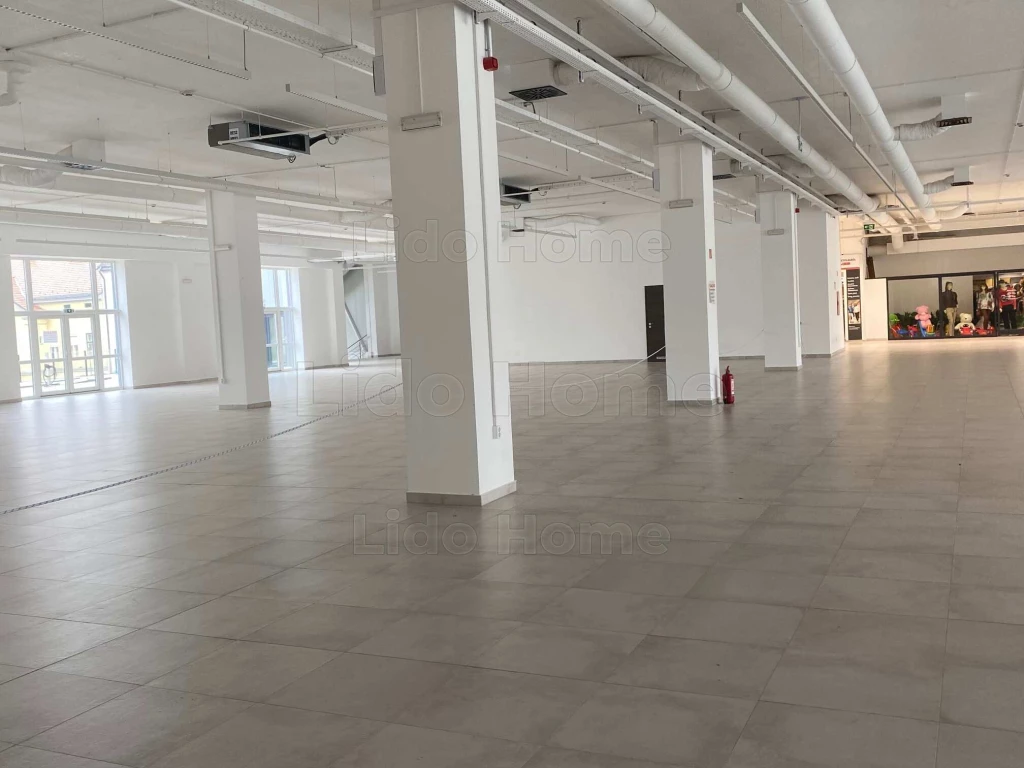 Kiadó egy 1100m2-es ingatlan Nagykanizsán egy belvárosi liftes iroda/üzletház első emeletén