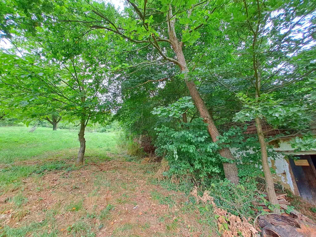 Eladó zártkerti ingatlan Zalaapátiban gyümölcsfákkal és pincével